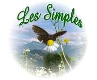 Logo des Simples